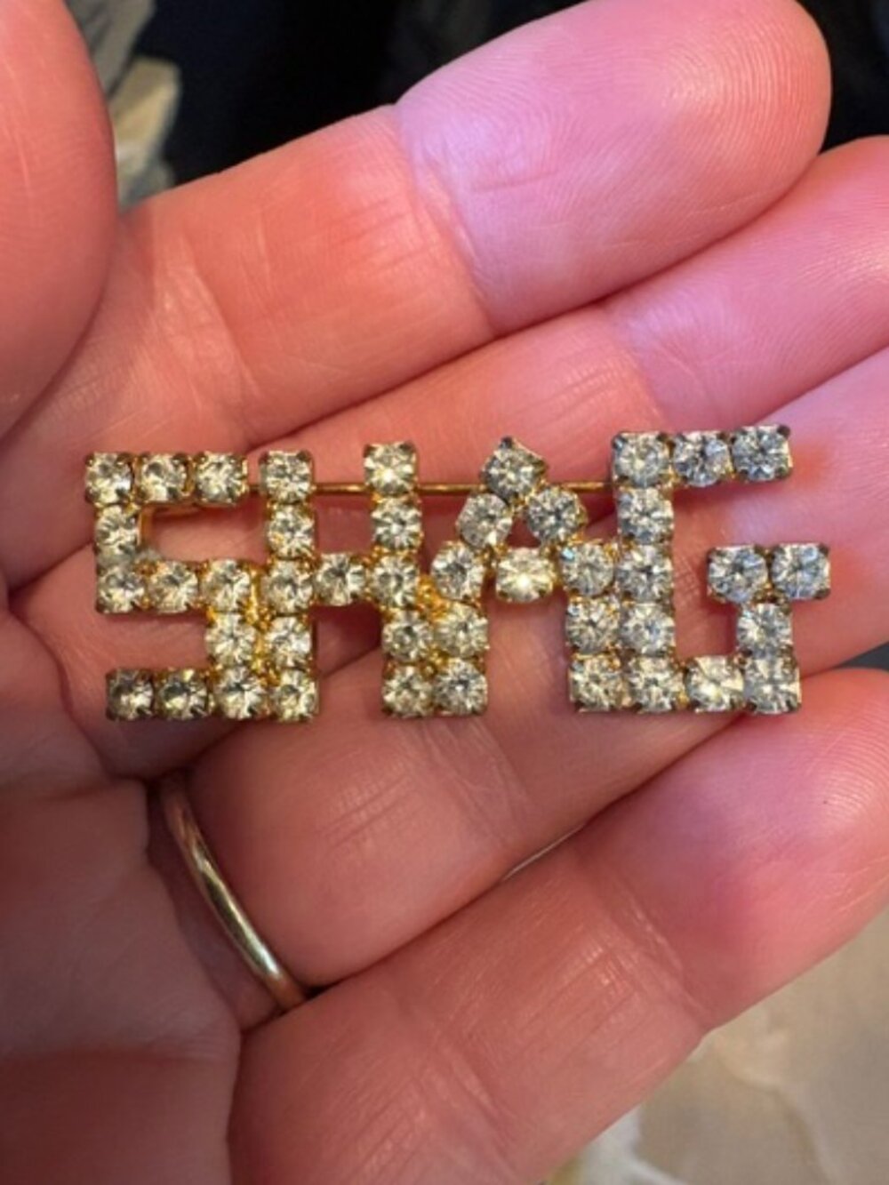 Vintage 80s Rare SHAG Beach Music British Slang Rhinestone Pin Double Entendre